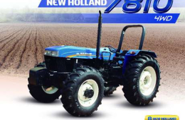 SERIE 10